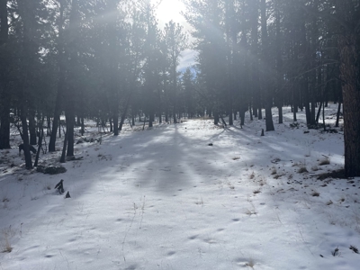 Land for Sale in the Colorado Mountains - image 1
