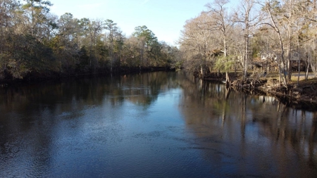 River Retreat - Fort White Florida! - image 43