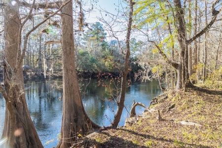 River Retreat - Fort White Florida! - image 45