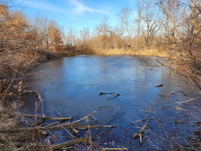 Land For Sale - image 22