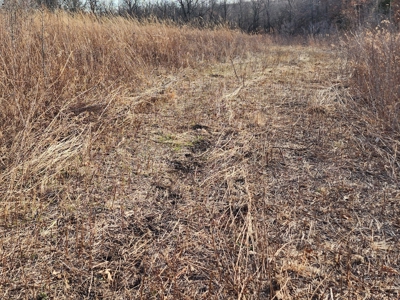Land For Sale - image 6