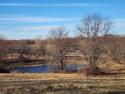 Land For Sale - image 23