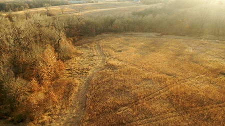 Land For Sale - image 31
