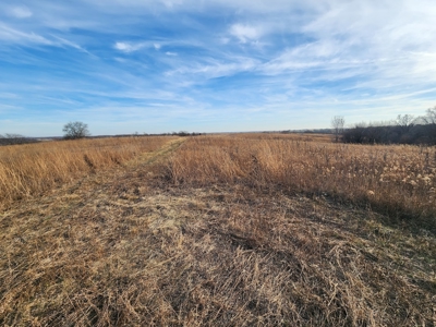 Land For Sale - image 1