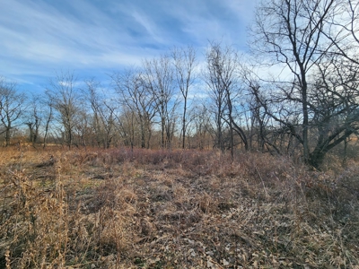 Land For Sale - image 10