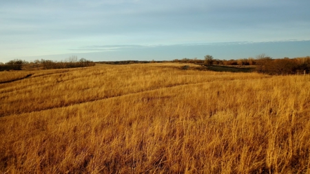 Land For Sale - image 30