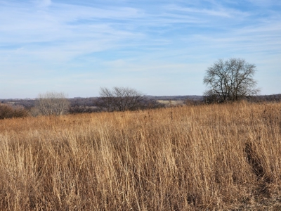 Land For Sale - image 4