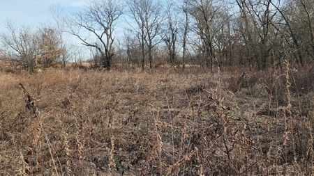 Land For Sale - image 12