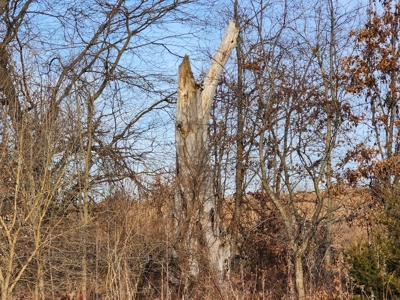 Land For Sale - image 15