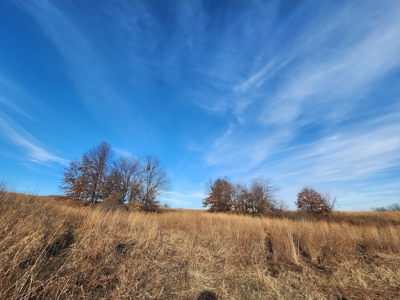 Land For Sale - image 21