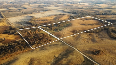 Land For Sale - image 27