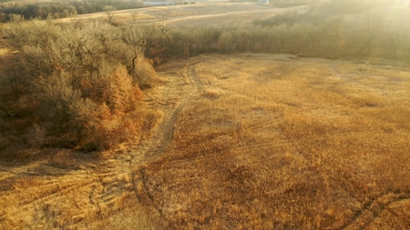 Land For Sale - image 36