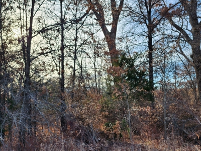 Land For Sale - image 8