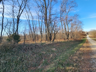 Land For Sale - image 24