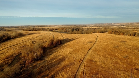 Land For Sale - image 33