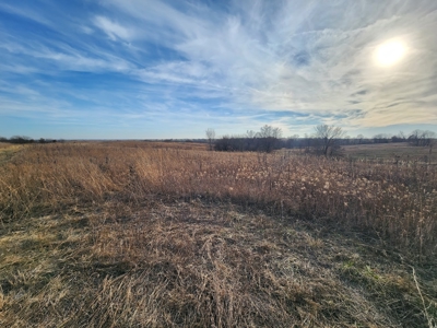 Land For Sale - image 2