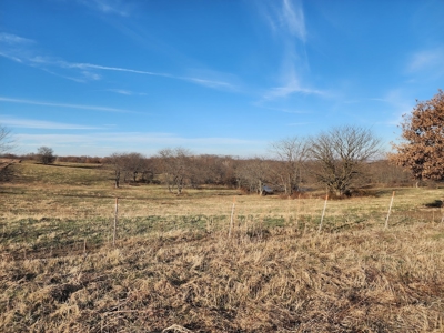 Land For Sale - image 25