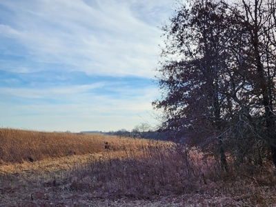 Land For Sale - image 17