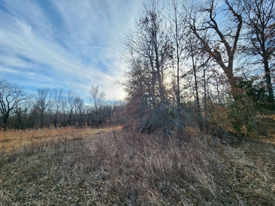 Land For Sale - image 9