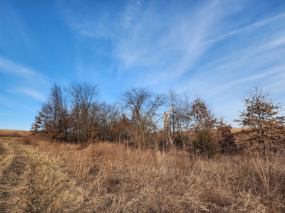 Land For Sale - image 14