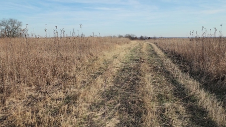 Land For Sale - image 5