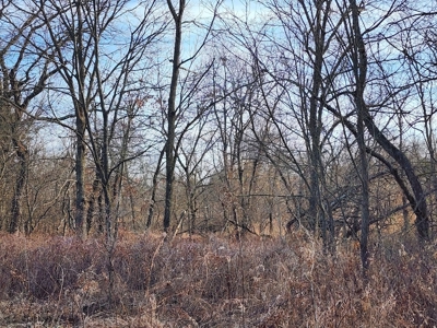 Land For Sale - image 11