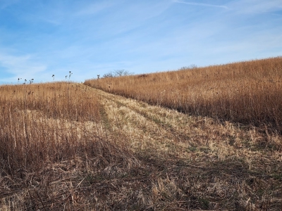 Land For Sale - image 16