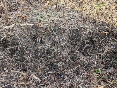 Land For Sale - image 7