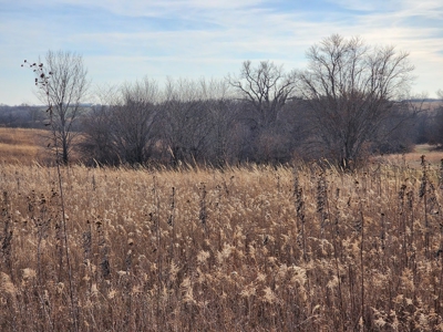 Land For Sale - image 3
