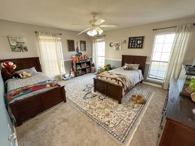 Ranchette For Sale in Taylor Texas - image 13