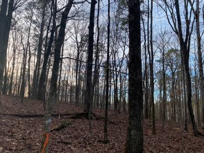 Land For Sale In Tn With Seasonal Lake View Of Pickwick Lake - image 11