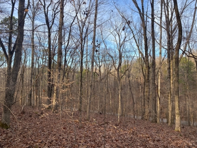 Land For Sale In Tn With Seasonal Lake View Of Pickwick Lake - image 17