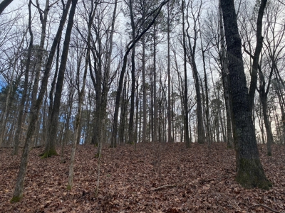Land For Sale In Tn With Seasonal Lake View Of Pickwick Lake - image 7
