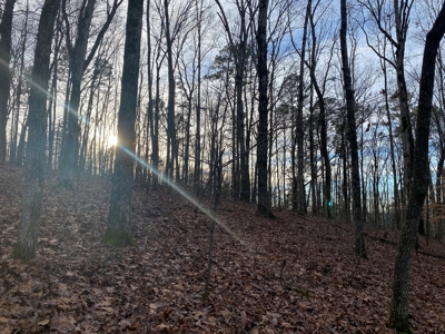 Land For Sale In Tn With Seasonal Lake View Of Pickwick Lake - image 10