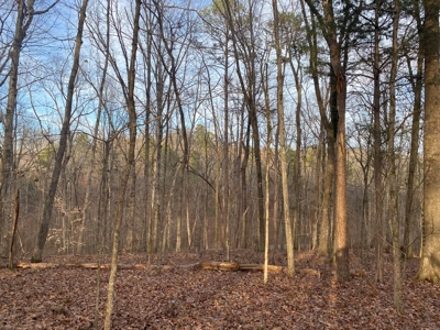 Land For Sale In Tn With Seasonal Lake View Of Pickwick Lake - image 15