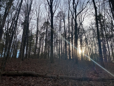 Land For Sale In Tn With Seasonal Lake View Of Pickwick Lake - image 2