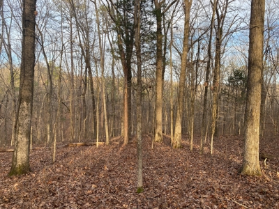 Land For Sale In Tn With Seasonal Lake View Of Pickwick Lake - image 1