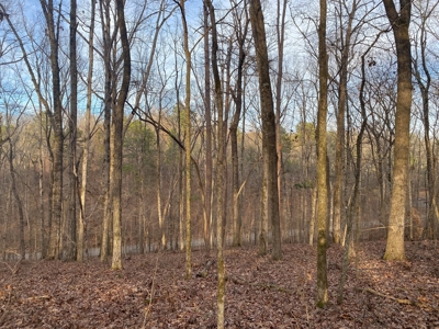 Land For Sale In Tn With Seasonal Lake View Of Pickwick Lake - image 16