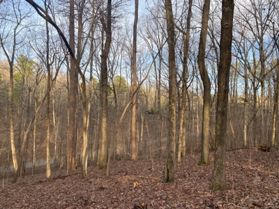 Land For Sale In Tn With Seasonal Lake View Of Pickwick Lake - image 18
