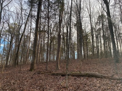 Land For Sale In Tn With Seasonal Lake View Of Pickwick Lake - image 21