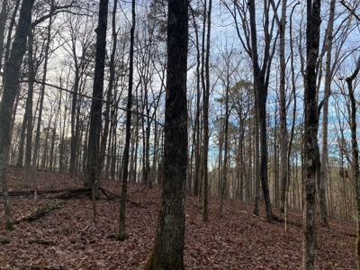 Land For Sale In Tn With Seasonal Lake View Of Pickwick Lake - image 12