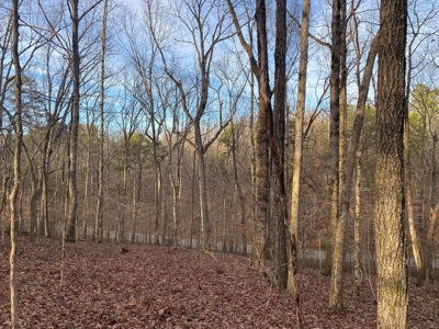 Land For Sale In Tn With Seasonal Lake View Of Pickwick Lake - image 20