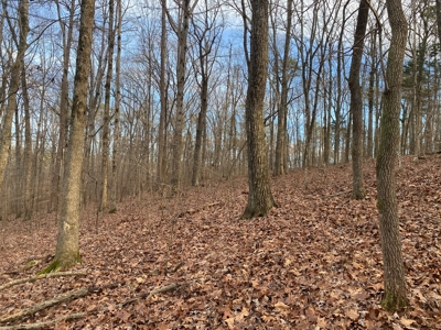 Land For Sale In Tn With Seasonal Lake View Of Pickwick Lake - image 8
