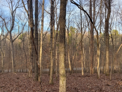 Land For Sale In Tn With Seasonal Lake View Of Pickwick Lake - image 19