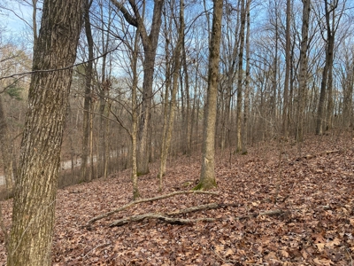 Land For Sale In Tn With Seasonal Lake View Of Pickwick Lake - image 9