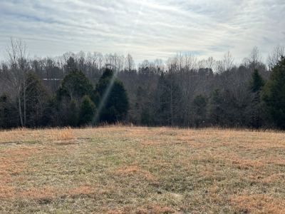 2.2+/- Acre Building Lot - Utilities Avail. - Liberty, Ky. - image 11