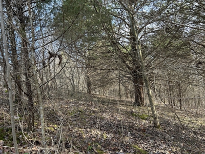 2.2+/- Acre Building Lot - Utilities Avail. - Liberty, Ky. - image 8