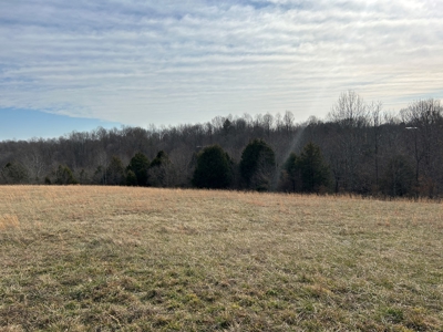 2.2+/- Acre Building Lot - Utilities Avail. - Liberty, Ky. - image 1