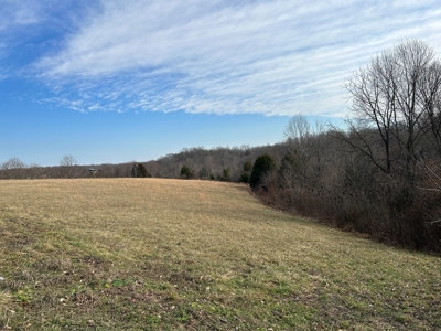 2.2+/- Acre Building Lot - Utilities Avail. - Liberty, Ky. - image 3