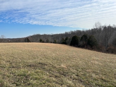 2.2+/- Acre Building Lot - Utilities Avail. - Liberty, Ky. - image 2